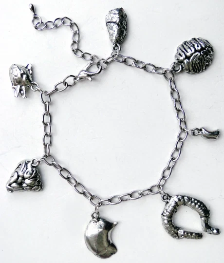 Pulsera de plata con dije de partes/órganos del cuerpo humano de peltre rarezas donante Halloween Foto 1 de 2