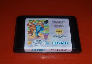 Disney's Beauty and the Beast: Belle's Quest (Sega Genesis,1993) -Cartridge Only
