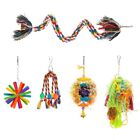5 Pcs Parrot Cage Toy Bird Bungee Rope Chew for Small Birds