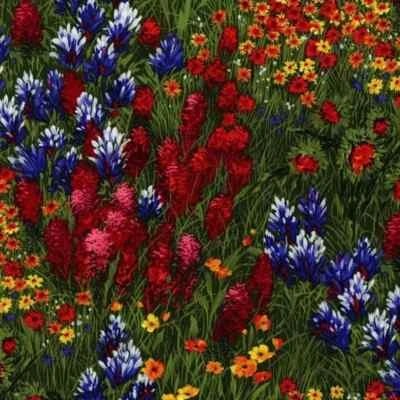 Wildflowers Landscape Floral Bluebonnets Indian Paintbrush Fabric By FQ 1/4 YD - Image 1 of 4