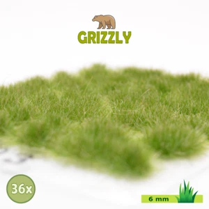 703 / Grizzly Grass / 36 diversi ciuffi di erba selvatica - Foto 1 di 3