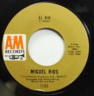 Rock 45 Miguel Rios - El Rio / A Song Of Joy On Am Records