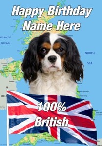 pb&fd266 Charles Spaniel 100% British  All Occasions Personalised Greeting Card