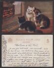 Old Cat Postcard ? Kittens ? Tuck's #8883, Catland Series I