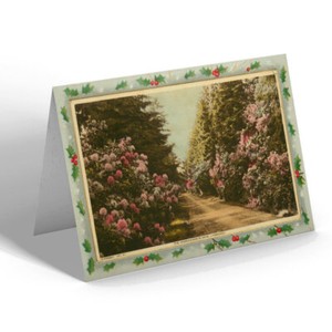 CHRISTMAS CARD Vintage Hampshire - The Rhododendron Drive, Lyndhurst
