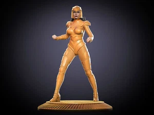 1/24 1/18 Wonder Woman 1984 unbemalt ungebaut 3D Druck Modell Garage Bausatz - Bild 1 von 1