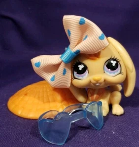 Littlest Pet Shop #480 Bunny Rabbit Lop Ears Orange Purple Pink Clover Eyes - Picture 1 of 6