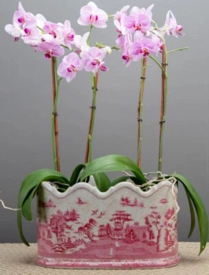Maceta de cerámica rosa y blanca Chinoiserie Foto 1 de 4