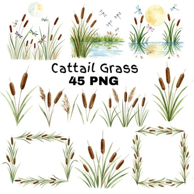 Cattail Grass Watercolor Clipart PNG Bundle Rustic Wetland Botanical Art Wild - Image 1 of 4