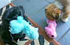 Good Boy Dog Toy - Raggy Puppy Unfilled No Stuffing Comfort Blanket Pink Or Blue