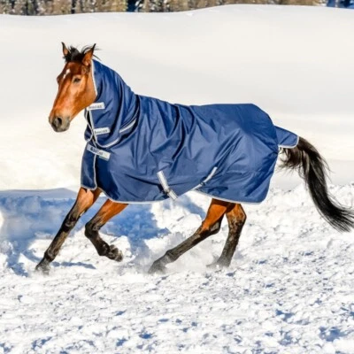 Bucas Freedom Turnout Extra Full Neck 300/150g - navy - Weidedecke - Regendecke