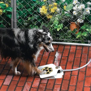Hundebrunnen Haustierbrunnen - Verbesserter Hundebrunnen Outdoor Hund Wassersprink - Bild 1 von 9