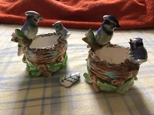 Napco BlueJay Vogel Pflanzgefäß - Spaghettiborte oben auf Nest - D1781 - Menge 2 - Bild 1 von 7