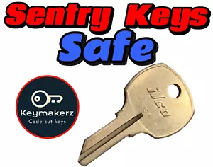 Llave de repuesto Sentry Safe de repuesto cortada a su código de llave C001B-C175B - Imagen 1 de 1