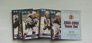 2002-2003 Wilkes-Barre Scranton Penguins 25 Card Team Set