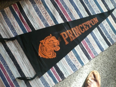 Princeton Tigers XL Pennant, 14 x 34" Cover