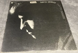 David Benoit - Can You Imagine - 1980 Vinyl LP/ AVI-6074 / Play Tested - Foto 1 di 5
