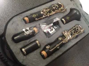 Nuovo Buffet Crampon Paris Studente Ebano Bb Clarinetto E12F Professionale - Foto 1 di 10