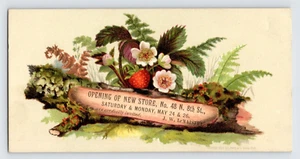 New Store Announcement, LeMaistre, Philadelphia 1800s Victorian Trade Card T1 - Picture 1 of 2
