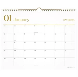 Cambridge Superior Jan-Dec 2025 Wall Calendar 14.875"x11.875" Lucid White Mthly - Picture 1 of 5