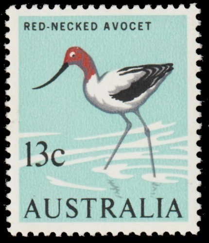 Australia 1966 13c Avocet [cream paper] MNH - SG 392 - Image 1 of 1