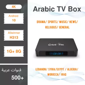 Great Bee Arabic TV Box Android 10 Greatbee 4K Smart 1 Year Arabia IP Receiver - Picture 1 of 13