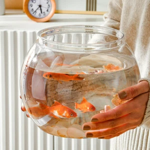 2 Pcs Desktop-Zierfischbecken Büro Mini-Aquarium Betta-Fischschale - Bild 1 von 12
