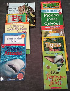 Scholastic Lot of 10 Library Books Chapter Paperback Learning Childrens
