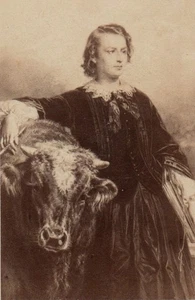Rosa Bonheur par Edouard Dubufe CDV circa 1862 tirage albuminé d'époque - Picture 1 of 3