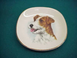 Vintage Jack Russel porcelain plate Hanley Royal Falconware England - Picture 1 of 3