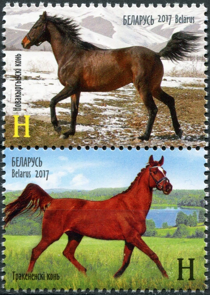 Belarus 2017. Horses (MNH OG **) Block of 2 stamps - Image 1 of 1