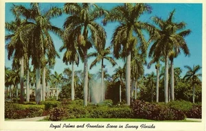 Cartolina d'epoca, Royal Palms & Fountain Scene, Boca Raton Club, Florida, usata - Foto 1 di 2