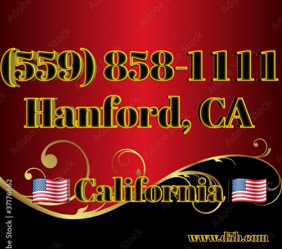 Номер телефона 559 California Vanity Easy (559) 858-1111 Hanford ВЫДАЮЩИЙСЯ  - Изображение 1 из 1