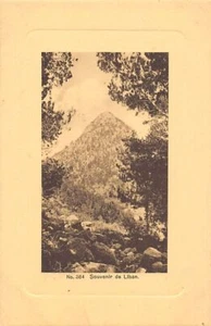 Lebanon - Souvenir of Lebanon - Publ. Sarrafian Bros. 384 - - Liban - Souvenir d - Picture 1 of 2