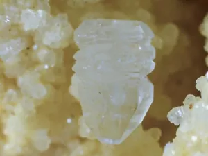 STRONTIANITE dall'Austria * CRISTALLI MOLTO BELLI * 6,3 cm - Foto 1 di 7