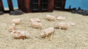 1/87 Schweine Hausschweine 10 Stück Resin Tier H0 HO 1:87 bemalt / unbemalt Set - Picture 1 of 10