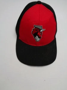 Chicago Bulls cap snapback new - Picture 1 of 3