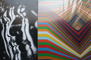 "Voluma" segundo album de León Larregui de Zoé Vinilo de 2022 re-edición reissue - Bild 1 von 23