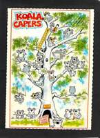 A6178 Australia Humour Koala Capers NCV postcard