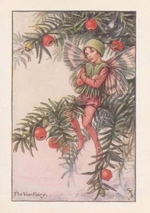 Flower Fairies: The Yew Fairy Vintage Print c 1930 Cicely Mary Barker - Picture 1 of 1