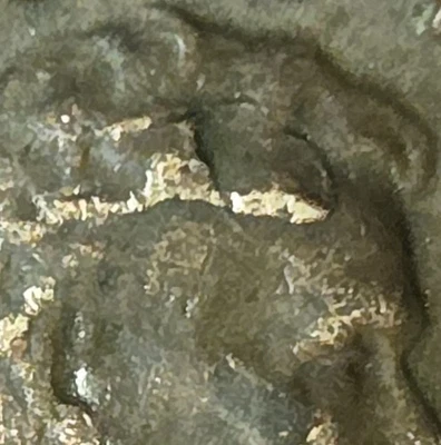 Die Crack Error 1955 P Lincoln Wheat Cent - Image 1 of 3