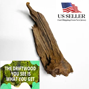 NATURAL MANGROVE DRIFTWOOD #148a WYSIWYG - AQUASCAPING, SUPER PRICE!! DECORATION - Picture 1 of 4