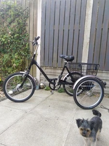 Pashley Picador Tricycle - Picture 1 of 4