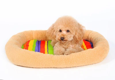 Anti-slip Bottom Colorful Canvas Padded Pet Bolster Bed Kennel Crate Carrier Mat - Image 1 of 4