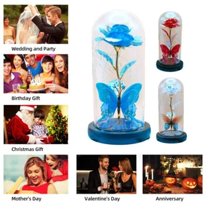 Glass Dome Rose In Flask Beauty -The Best Mother/Valentine's Day Gift for Wife - Picture 1 of 14