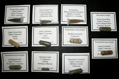 Cretaceous microfossil matrix collection 11 sites Foraminifera Ostracods fossils - Image 1 of 4