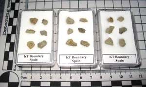 Kreidezeit KT KP Grenztonfragment in Vitrine - Agost, Spanien 1/Gebot - Bild 1 von 4