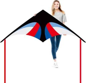 JEKOSEN 55" Delta Kite Large Kites for Kids and Adults Beginners Easy to Fly - Picture 1 of 7