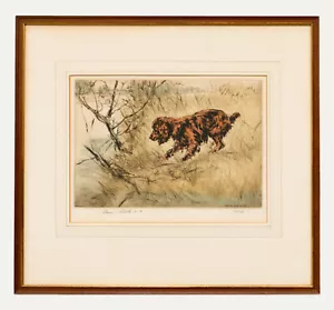 Henry Wilkinson RE (1921-2011) - Framed 20th Century Etching, Golden Cocker - Picture 1 of 7