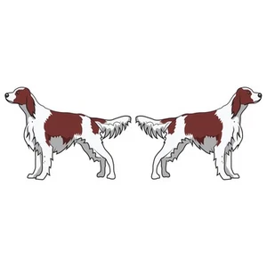 Calcomanía de vinilo irlandesa roja y blanca Setter perro amante del perro decoración - Imagen 1 de 4